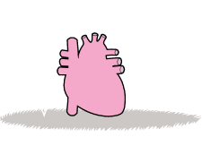 Heart