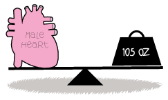 Heart and Scale